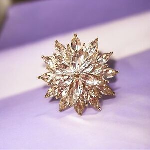 Clear Crystal Starburst Brooch